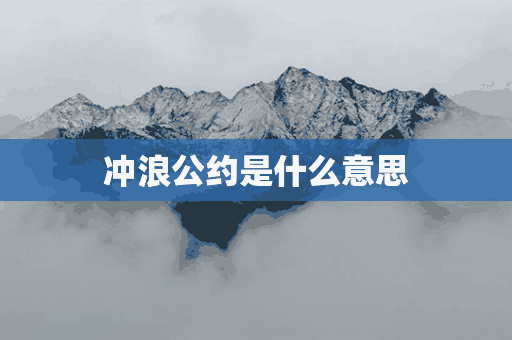 冲浪公约是什么意思